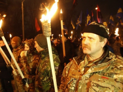 Воронежские чиновники «простодушно» протянули руку необандеровцам