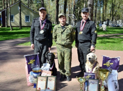Воронежские кинологи заняли первое место на соревнованиях в Брянске
