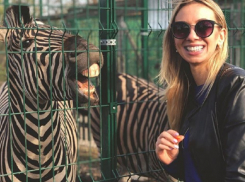 Смех зебры над селфи красавицы с белоснежной улыбкой запечатлела камера