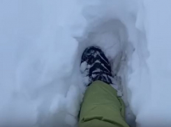 Невероятную прогулку по мосту в разгар мощного снегопада сняли на видео в Воронеже