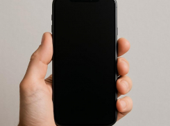 Воронежцы не готовы перейти на пейджеры из-за проблем с мобильным интернетом 