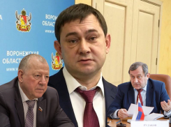 Спикер Нетёсов и его замы Колосков и Рудаков подорожают для воронежцев на 3 млн рублей
