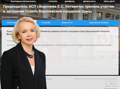 КСП Воронежа отчиталась о работе своего руководителя одной строчкой