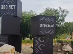 Огромные черные кубы появились в Воронеже - что это значит 