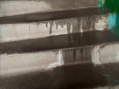 Туалетные мухи, потоп и вонь: обделенные ремонтом воронежцы показали ужасы своего подъезда 