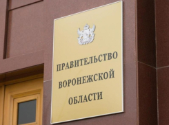 Стало известно, когда начнет работать новый воронежский министр предпринимательства