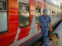 Воронежскую электричку эвакуировали из-за бесхозных вещей