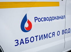 Представители власти подтвердили соблюдение требований природоохранного законодательства при строительстве нового водовода РВК-Воронеж