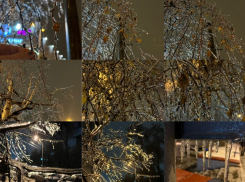 Фотографиями города «из стекла» после ледяного дождя поделились воронежцы