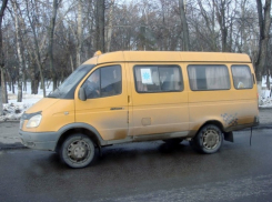В Воронеже изменят маршрут №125а