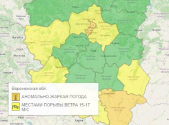 Оранжевый уровень опасности объявили из-за аномальной жары в Воронеже