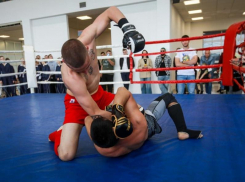 Масштабно и зрелищно прошел открытый чемпионат по боевому самбо в Воронеже