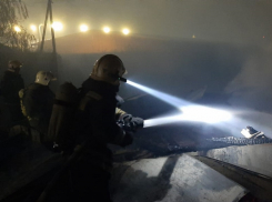 Подробности пяти бушующих пожаров озвучили в воронежском МЧС 