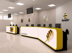 Воронежский суд осудил бывшего работника «Билайна» за мошенничество 