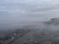 ОвсЕенко или ОвсеЕнко: правильно ли воронежцы называют «Антошку»