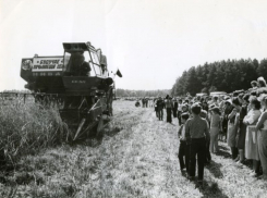 В 90-е годы сельчане массово отказывались быть колхозниками в Воронежской области