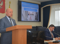 Лиса и воронежские избушки: почему депутаты гордумы хотят выгнать ПИК-Комфорт