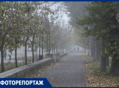 Зловещий и таинственный: как густой туман охватил Воронеж 