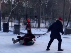 Мальчика, катающего лошадь на «ватрушке», засняли на видео в воронежском парке