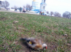 О страшных последствиях православного праздника предупредили воронежцев