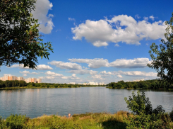 Московские водолазы достали с 3-метровой глубины пьяного воронежца