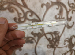 Как себя вести при лечении Covid-19 в домашних условиях, рассказал воронежский облздрав