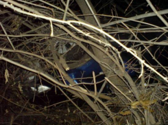 В Воронежской области «Тойота» врезалась в дерево и перевернулась