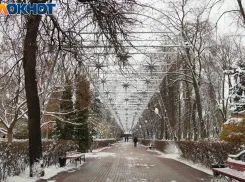 Самый холодный день и потепление спрогнозировали на короткую рабочую неделю в Воронежской области 