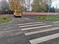 Островок безопасности, опасный для жизни детей, обнаружили в воронежском селе