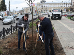 Мэрия Воронежа рассказала, как градоначальник чистил столицу Черноземья
