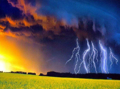 Какой будет погода в июне в Воронеже, рассказали синоптики 