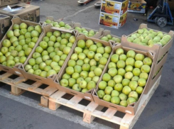 Под Воронежем в очередной раз уничтожили больше тонны польских яблок