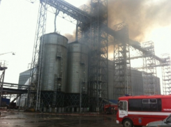 В Воронежской области горел завод по производству подсолнечного масла