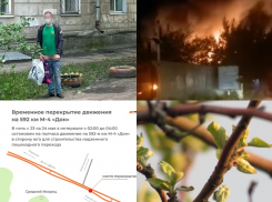  Главное в Воронеже: новые камеры, демонстрация причиндалов и обращение к президенту 