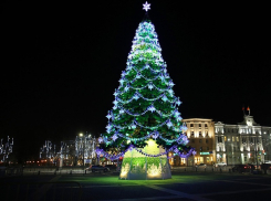Главная новогодняя елка зажглась на площади Ленина в Воронеже 