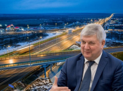 Похвала Путина за новую дорогу повысила политические акции воронежского губернатора