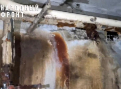 Воронежцам из дома ужасов предложили потерпеть 29 лет