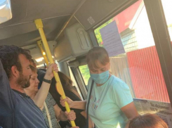 «Открываются окна и люки»: мэрия Воронежа объяснила Варламову, почему маршруткам не нужны кондиционеры