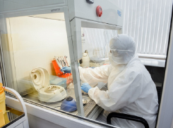Зафиксирован новый рекорд по числу заболевших COVID-19 в Воронежской области