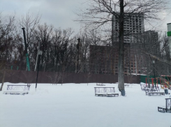 Наступление цивилизации на Центральный парк встревожило общественность Воронежа