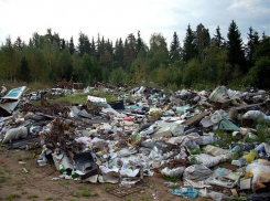 В Воронежской области в Грибановском районе обнаружили незаконную свалку