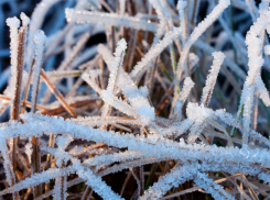 В Воронежской области на выходных будет до -8 мороза