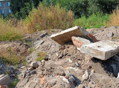 Ветки цепляют волосы:"грязная проблемка' угрожает воронежцам