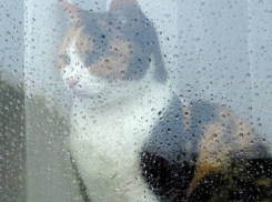 На рабочей неделе в Воронеж придет существенное похолодание 