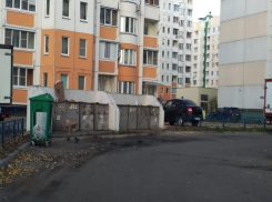 Мусорный апокалипсис на воронежском Машмете оправдали припаркованными авто