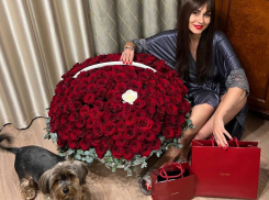Жена воронежского депутата Госдумы Ткачева похвасталась подарками от Cartier 
