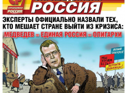 «Справедливую Россию» могут снять с выборов в Воронеже за карикатуру