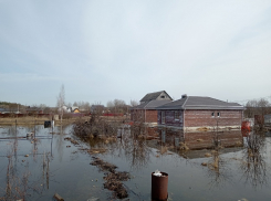 «Дома затопляет всё больше и больше»: последствия бездействия властей наглядно показали под Воронежем 
