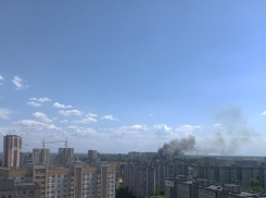 Поджог тополиного пуха мог стать причиной череды пожаров в Воронеже