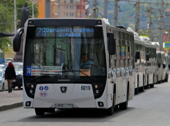 Воронежцы просят вернуть им автобусы 